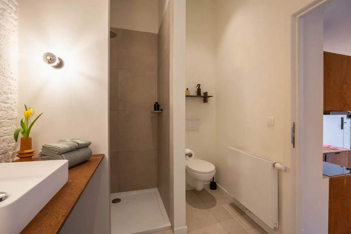Flat n°00 - Poelaert — photo 13